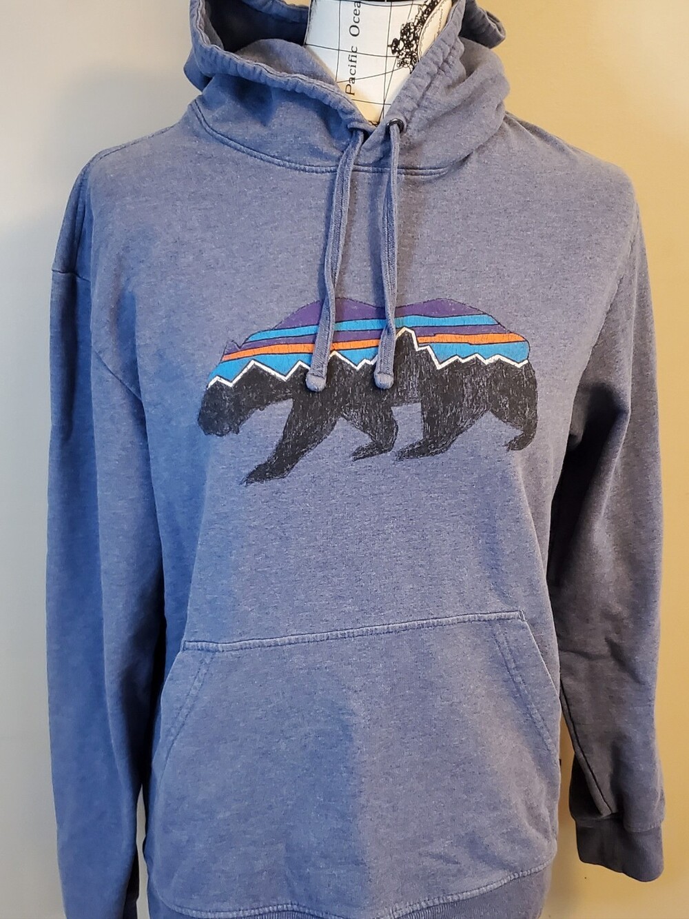 Patagonia XS Extra Small Bear Logo Pullover Hoodie Sweatshirt Blue Organic Cotto